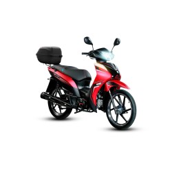 Rapid 125